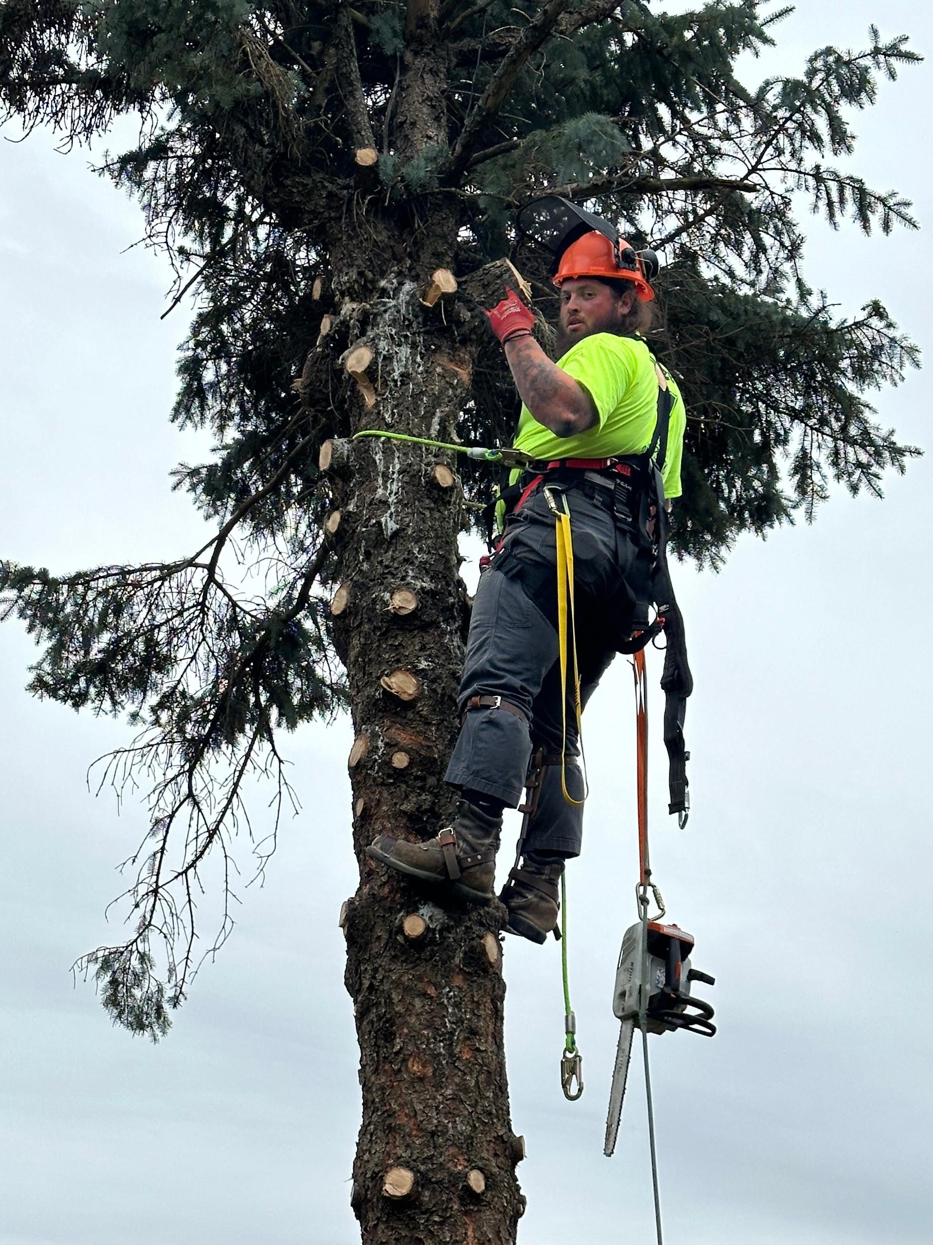 Emergency tree service